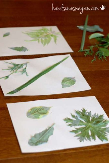 prep paper with leaves