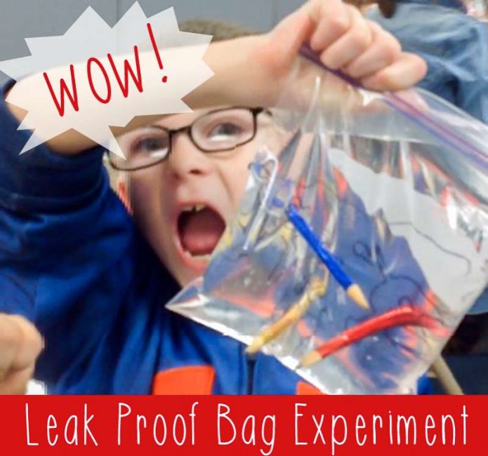 The leak-proof bag experiment is such a fun experiment for kids to do!