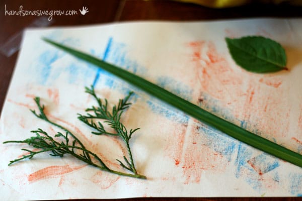 Leaf rubbings all matched up