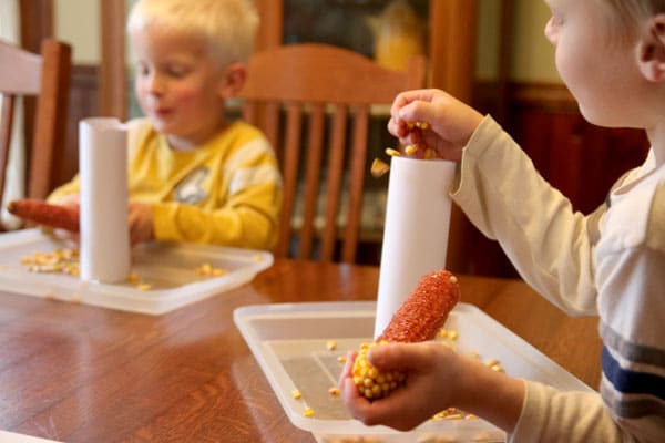 Experiment to find if the kernels take up more volume than the ear of corn itself