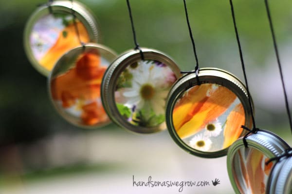 Nature suncatcher wind chimes hung up