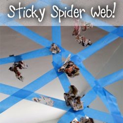 Sticky Spider Web Activity