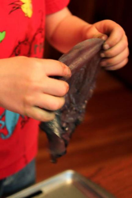 Kids dip coffee filters in colored water to make coffee filters flowers